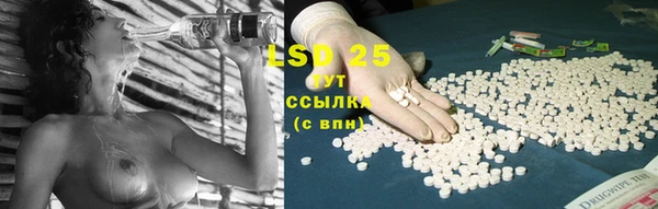 хмурый Няндома