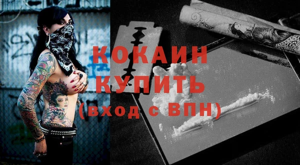 хмурый Няндома