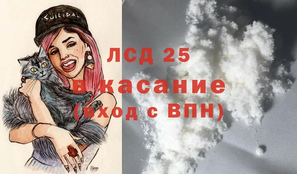 амф Новодвинск
