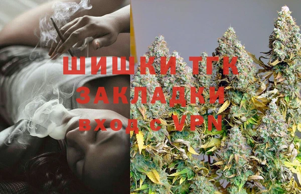 амф Новодвинск