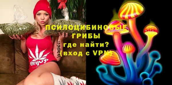 меф Нягань