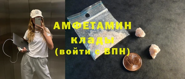 ГАЛЛЮЦИНОГЕННЫЕ ГРИБЫ Новозыбков